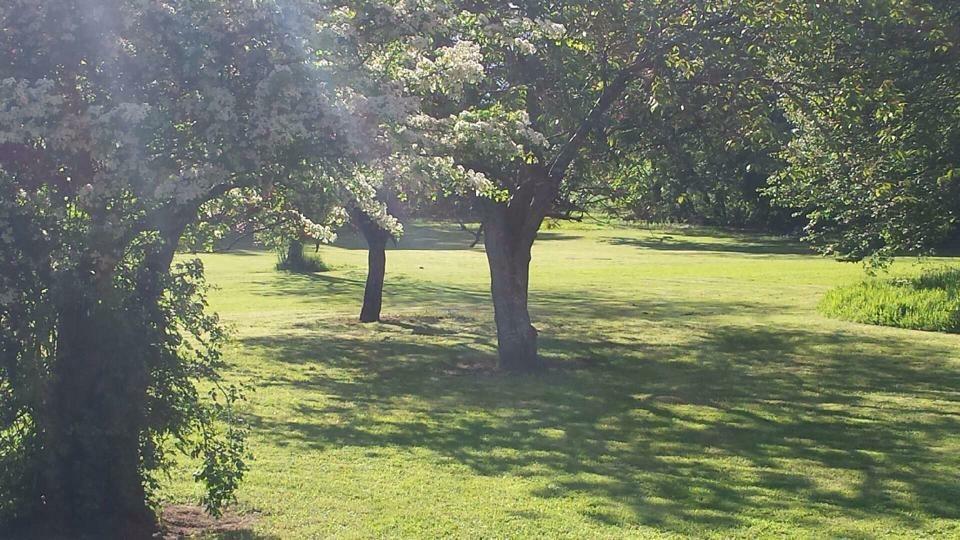 منزل الضيف كلونيمل  في Clonacody House المظهر الخارجي الصورة
